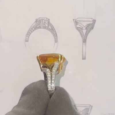 Design Development